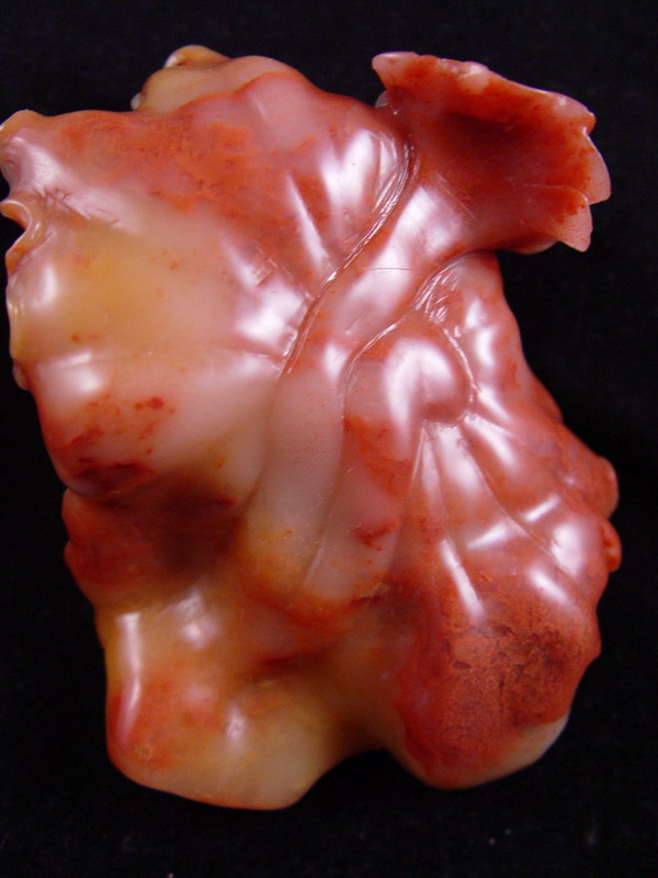 419p02b.JPG