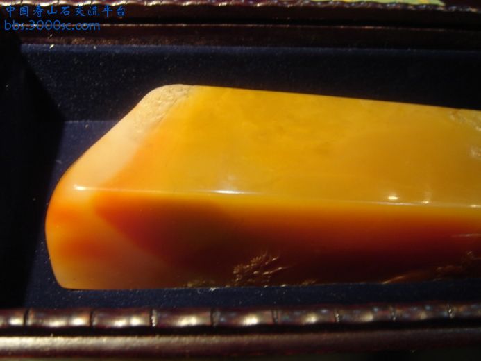DSC09037_调整大小.JPG