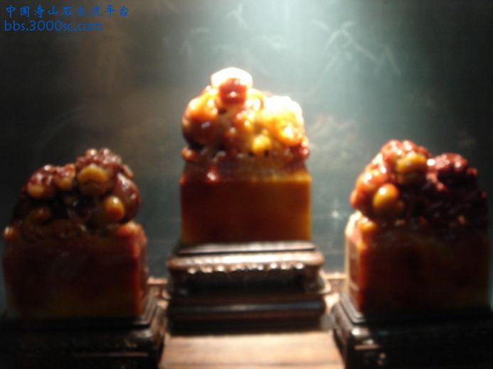 DSC08989_调整大小.JPG