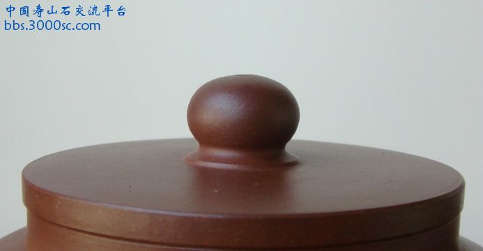 DSC01903.jpg
