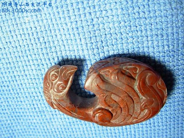 调整大小 DSCN5368.JPG