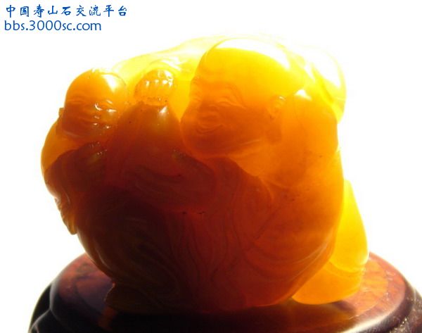 1透光.jpg