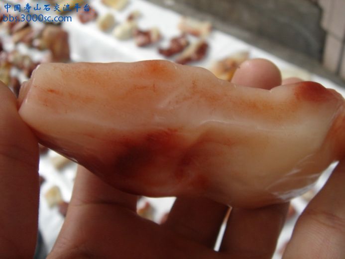 DSC09067_调整大小.JPG