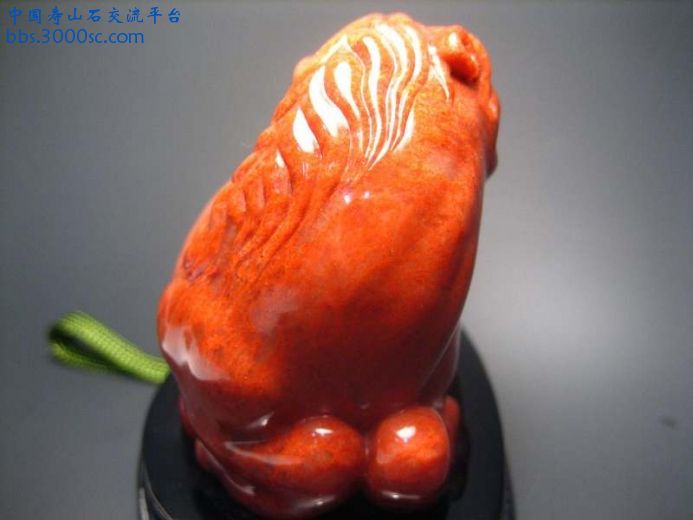图片 072.JPG