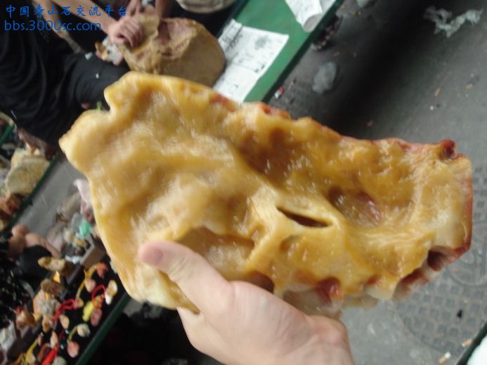 DSC09098_调整大小.JPG