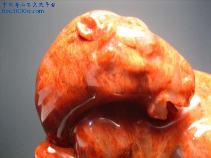 图片 073.JPG