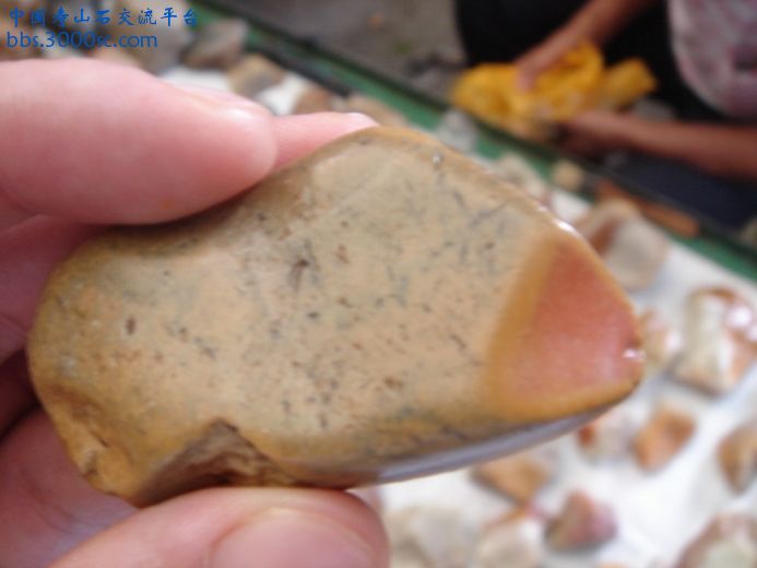 DSC09084_调整大小.JPG