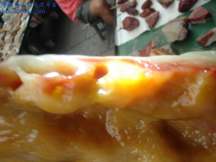 DSC09096_调整大小.JPG