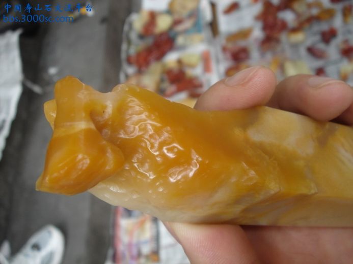 DSC09070_调整大小.JPG