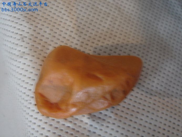 DSC09278_调整大小.JPG