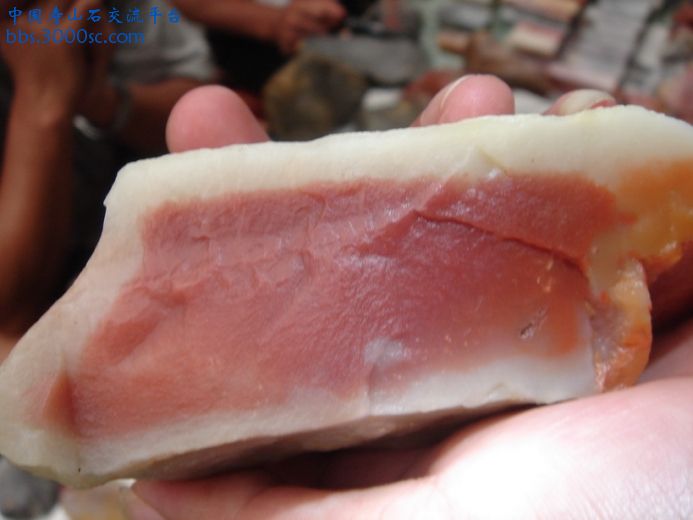 DSC09129_调整大小.JPG