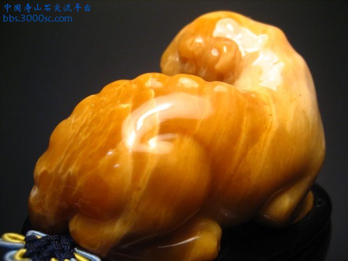 图片 098.JPG