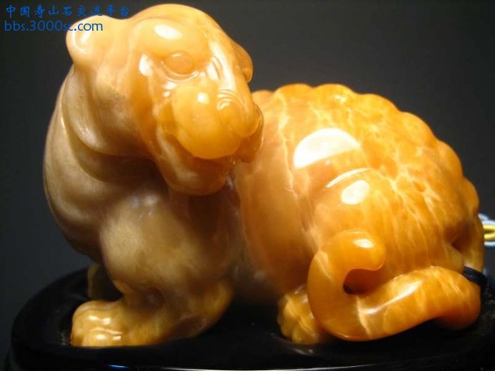 图片 096a.jpg