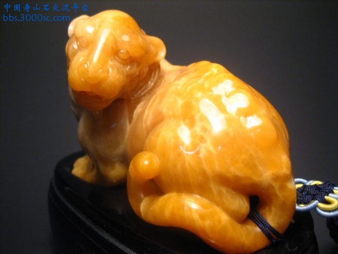 图片 097.JPG