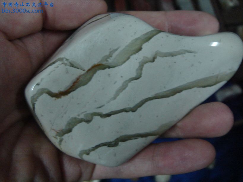 DSC09426_调整大小.JPG