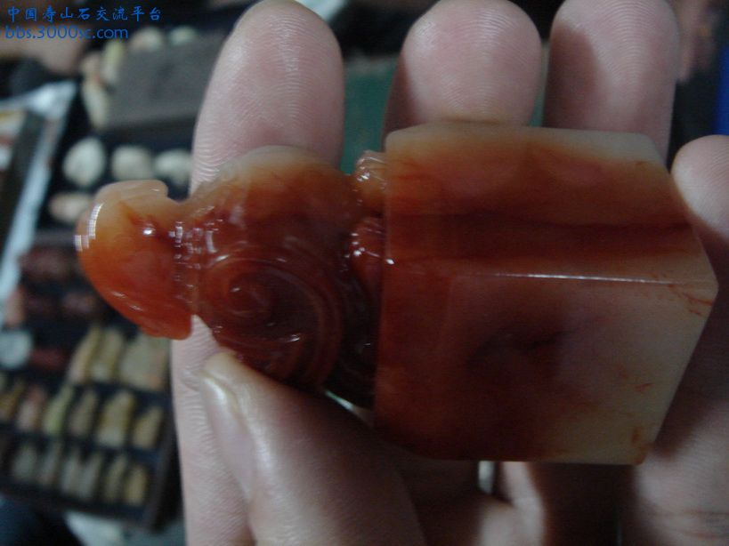 DSC09424_调整大小.JPG