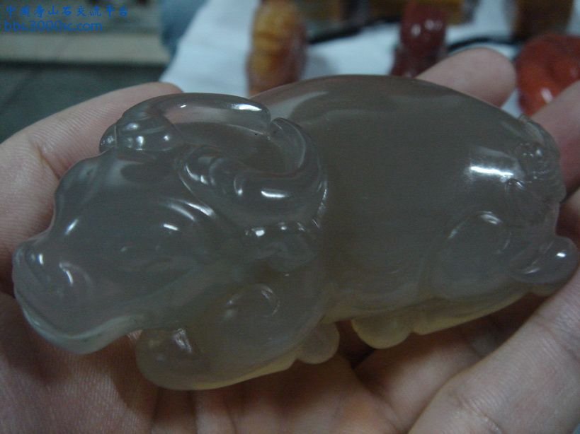 DSC09430_调整大小.JPG