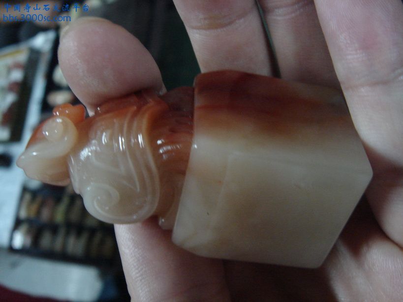DSC09425_调整大小.JPG