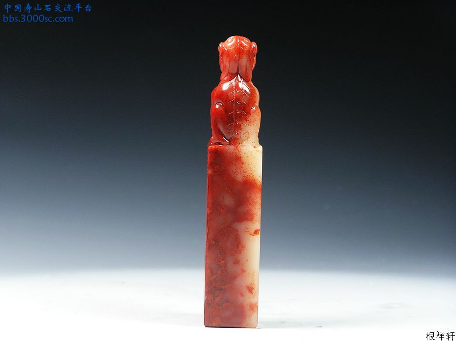 照片 061.jpg