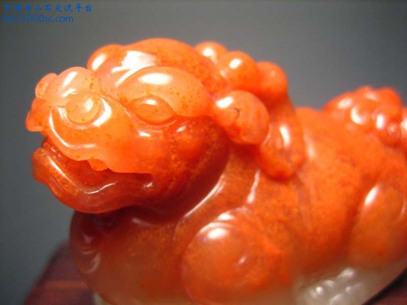 图片 077.JPG