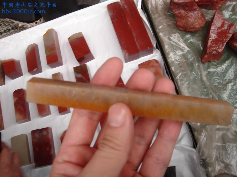 DSC09764_调整大小.JPG