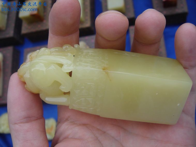 DSC09797_调整大小.JPG
