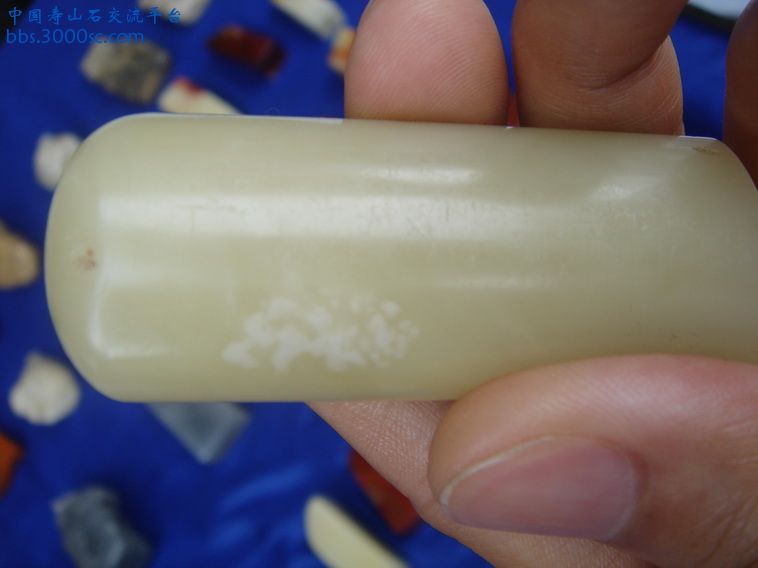DSC09817_调整大小.JPG