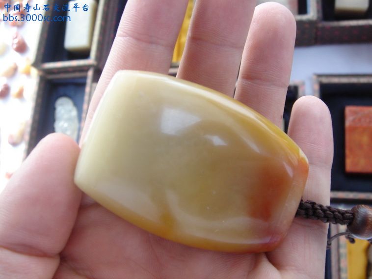DSC09792_调整大小.JPG