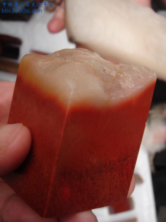 DSC09763_调整大小.jpg