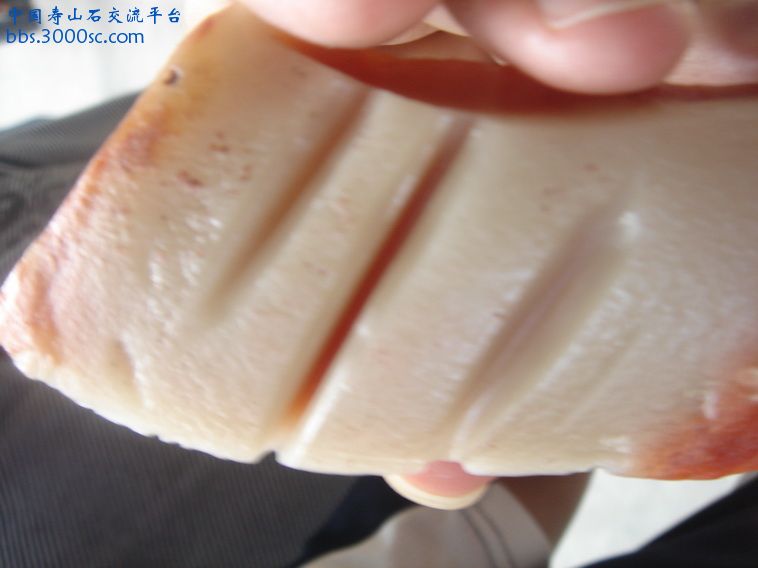 DSC09714_调整大小.JPG