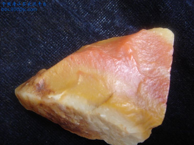DSC09850_调整大小.JPG