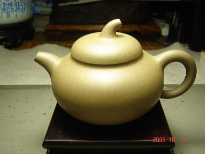 DSC03931.jpg