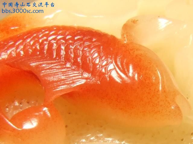 DSCF4783.JPG