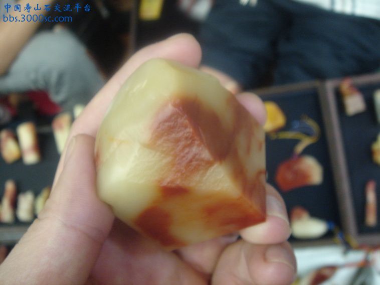 DSC09882_调整大小.JPG