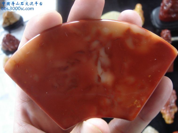 DSC00004_调整大小.JPG