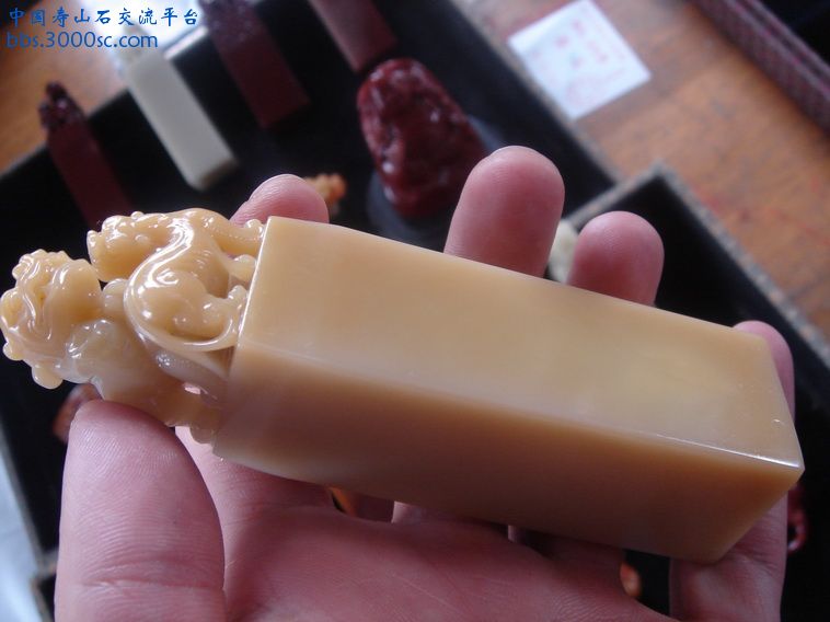 DSC00013_调整大小.JPG