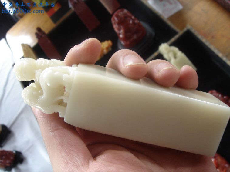 DSC00011_调整大小.JPG