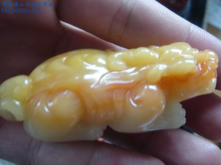 DSC00008_调整大小.JPG