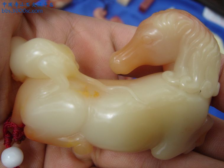 DSC09992_调整大小.JPG