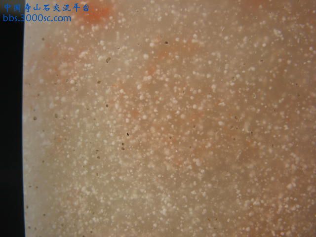 九月照片 104.jpg