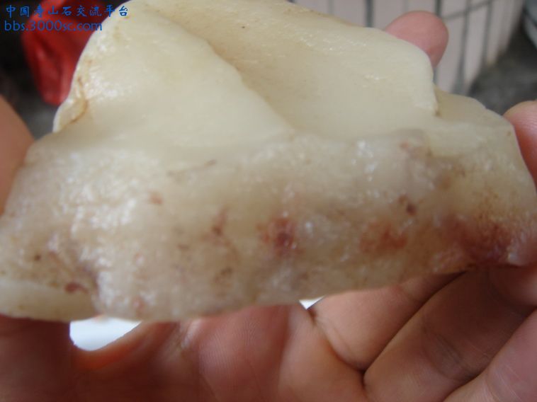 DSC00066_调整大小.JPG
