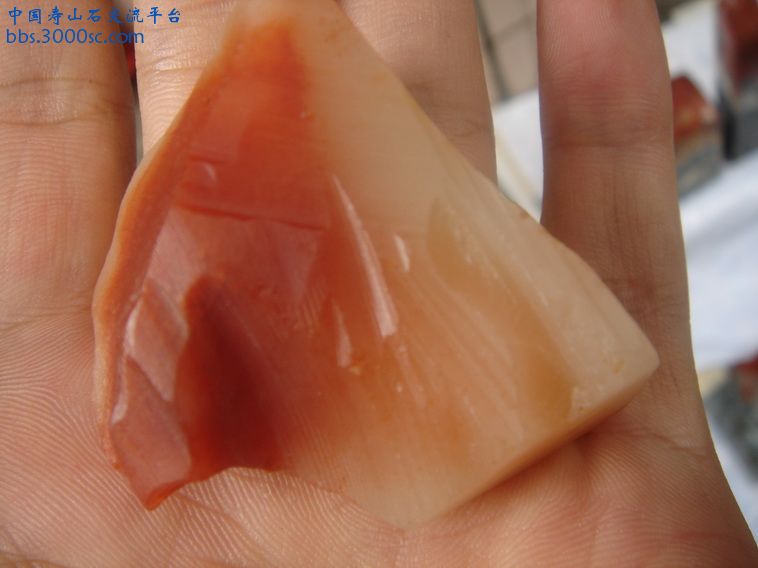 DSC00069_调整大小.JPG