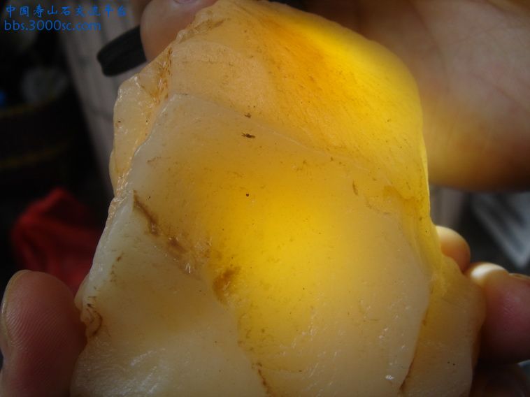 DSC00065_调整大小.JPG