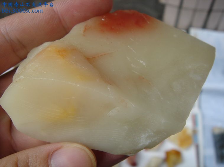 DSC00068_调整大小.JPG