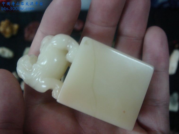 DSC00113_调整大小.JPG