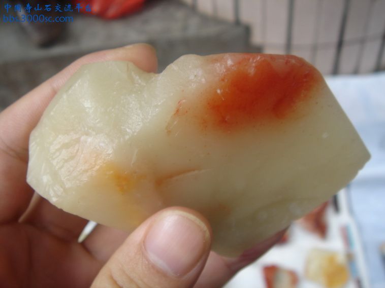 DSC00067_调整大小.JPG