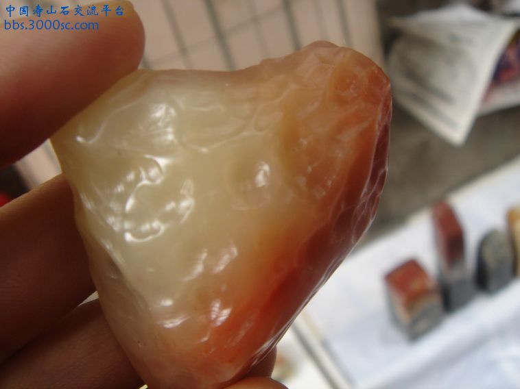 DSC00072_调整大小.JPG