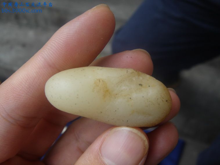 DSC00074_调整大小.JPG