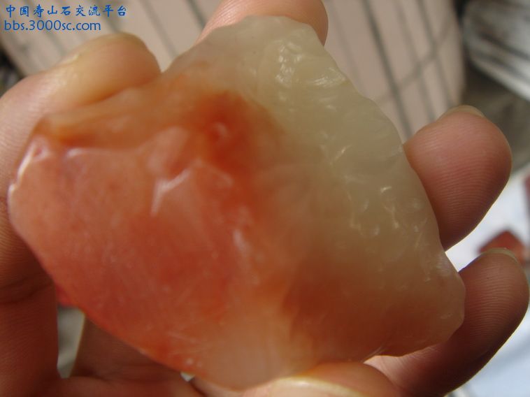 DSC00071_调整大小.JPG