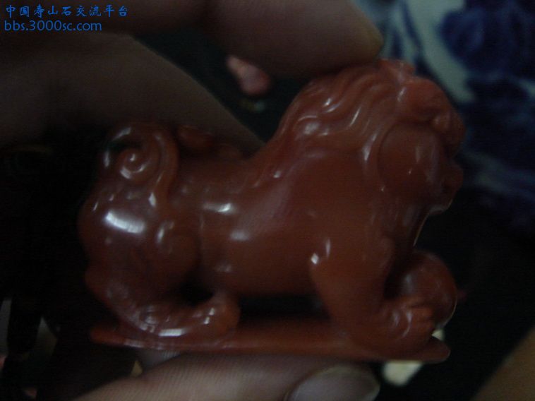 DSC00115_调整大小.JPG